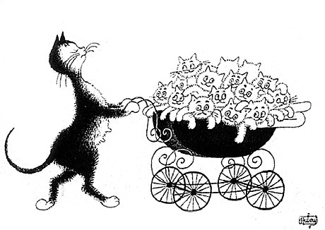 Koty Alberta Dubouta kocia rodzina w wózku